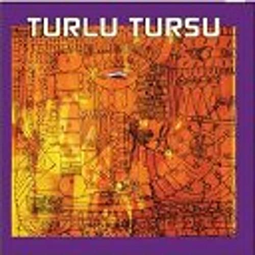 [4446002] Turlu Tursu - Turlu Tursu