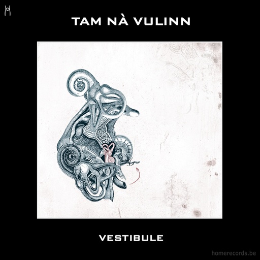 [4446040] Vestibule - Tam Nà Vulinn