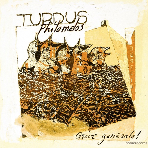 [4446101] Grive générale! - Turdus Philomelos